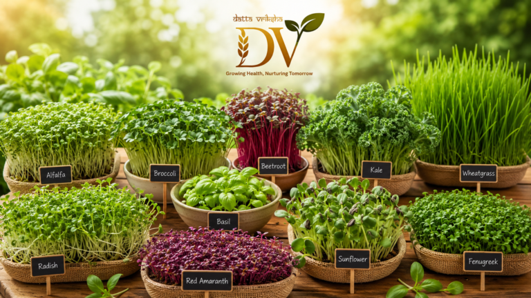 Ultimate Guide to Microgreens: Nutritional Facts, Health Benefits & Best Microgreens for Daily Wellness