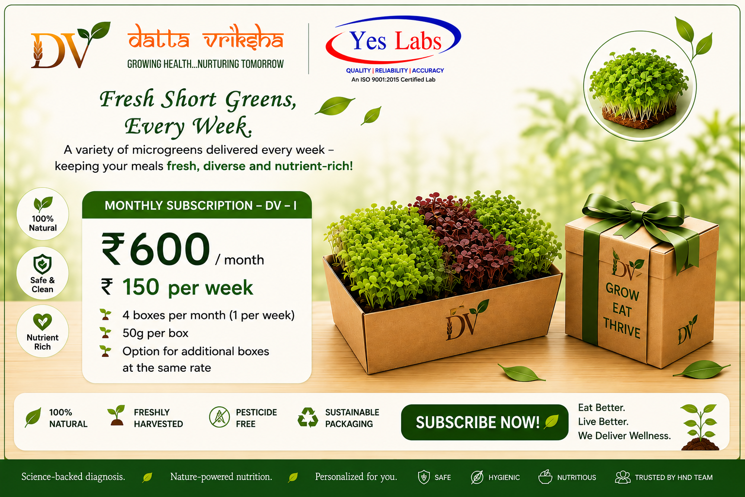 Monthly Subscription Plan